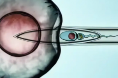 广东省广州市三代试管婴儿怀孕要花多少钱？费用构成与成功率详情