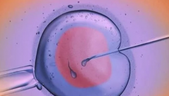 2026年成都市妇女儿童中心医院单身试管成功率及费用明细，真实经验分