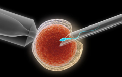 2026年三峡大学附属仁和医院单身试管婴儿费用价目表一览！