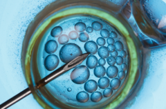 三明市中西医结合医院未婚女性试管婴儿成功率怎么样？