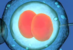 揭秘六安人民医院未婚做试管婴儿多少钱，一次预算12万才够