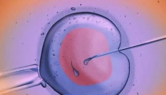 太原市2026年三代试管婴儿费用明细：从检查到移植全流程花费清单！