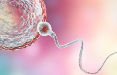 2026年单身女性可以在长沙妇幼做试管婴儿吗？详细流程公布