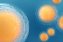 罗湖区人民医院单身女性试管婴儿成功率有多高？