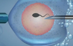 2026年单身女性如何在空军特色医学中心做试管？流程费用全解析