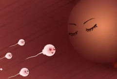 广东省中山三代试管婴儿生孩子费用全公开：从签协议到顺利抱娃的详