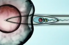 2026年没有结婚证去浙江省中西医结合医院做三代试管费用贵吗？明细是