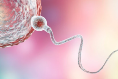 2026年保定市做第三代试管助孕多少钱？2026年试管费用明细表来了！