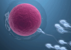 2026年攀枝花市妇幼保健院单身试管费用明细，预算8万元够不够？