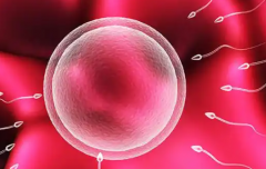 2026湖北武汉三代试管助孕费用一览表新鲜出炉