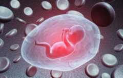 2026年单身女性在东莞市妇幼保健院能做试管婴儿吗？