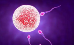 2026年陕西省第三代试管婴儿价格贵吗？成功所需费用分三部分