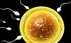 2026年成都美美妇产医院单身试管费用明细，预算8万元够不够？