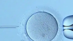 湖北做三代试管婴儿生孩子多少钱？费用明细及医院推荐！