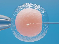 2026山东省试管助孕没结婚证也能做？山东大学齐鲁医院回应来了