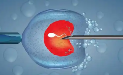 2026年河南省三代试管婴儿助孕整体花费大概是多少？费用详细清单公布