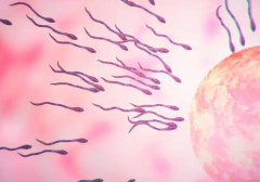 2026年晋中正规第三方试管助孕机构费用大约是多少